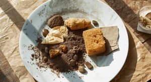 Kamenje, zemlja, papir i spužva na tanjuru