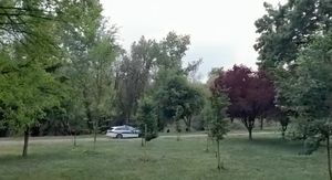 Policija na Bundeku