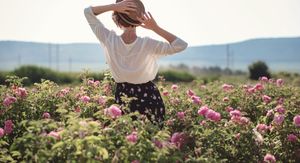 Počela je sezona bika