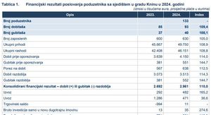 Povodom Dana pobjede i domovinske zahvalnosti: Kako posluju poduzetnici u Kninu?