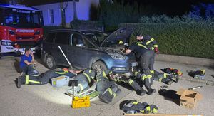 Austrijski vatrogasci spasili su mačku iz motora automobila - 1