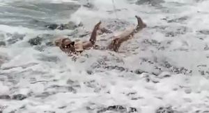Fail