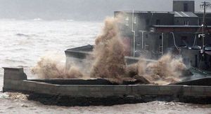 Tajfun Delfin