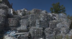 Poznanovec - 1