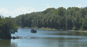 Dunav se odvojio od Kopačkog rita