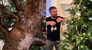 Božićno drvce puno ušiju i muškarac koji uklanja ukrase s njega