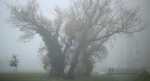 Magla na Srednjacima, ilustracija