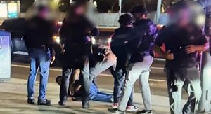 Uhićenje Nicka Reinera