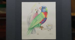 Cash or Trash ep.15 - 4