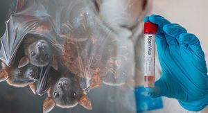 Zabrinjavajuće vijesti: Virus s do 75 % smrtnosti ponovno je aktivan!