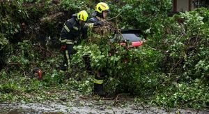 Stablo u Zagrebu palo na automobile - 1