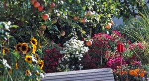 Uz dobre savjete, stablo će biti puno plodova