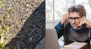 Travnjak sa skrivenim gušterima i muškarac koji bulji u ekran računala