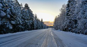 Poledica, ilustracija