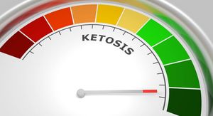 Ketoza i ketoacidoza: Znate li kad ketoni postaju opasni?