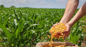 Sporazum EU-Mercosur pred usvajanjem: Hrvatska poljoprivreda plaća veliku cijenu, koristi ograničene