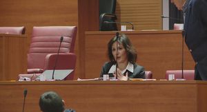 Daliju Orešković stresla struja u Saboru