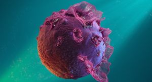 Epstein-Barr virus: Simptomi koji mogu potrajati mjesecima