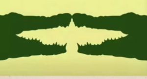 Vizualni test