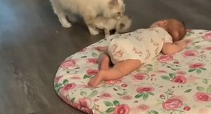 Mačke i beba