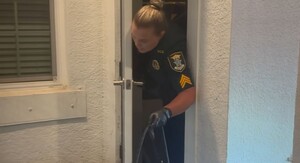 Policajka i aligator