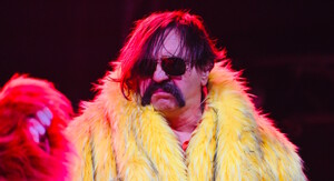Damir Martinović Mrle