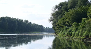 Sava