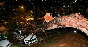 Posljedice nevremena u Rovinju - 5