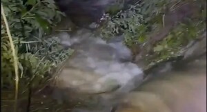 Prizori iz Rusije