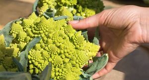 Šenon recepti: Ako ga vidite u trgovini, uzmite ga – evo 5 jednostavnih načina kako ga pripremiti