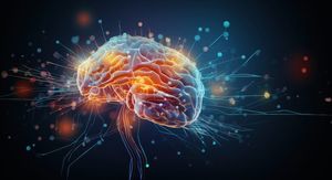 Dijelovi mozga i funkcije: Fascinantna karta mozga koja objašnjava kako nastaju misli, emocije i pokreti