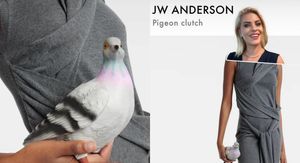 Objava Mirne Medaković Stepinac