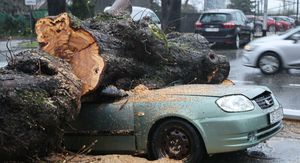 Nevrijeme srušilo stablo koje je palo na automobil