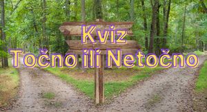 Puteljak u dva smjera s putokazom i natpis kviz točno ili netočno
