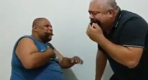 Zabava s harmonikom