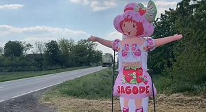 Jagodica Bobica