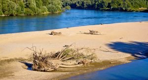 Drava