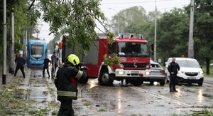 Vatrogasci na terenu na Maksimirskoj cesti