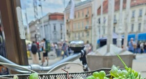 Pčele se roje na biciklu na Trgu bana Jelačića - 1