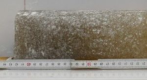 Uzorak ledene jezge stare 6 milijuna godina pronađene na Antarktiku