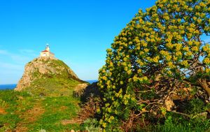 Palagruža u proljeće - 14