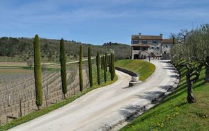 Sweet Wine and Walk - 18