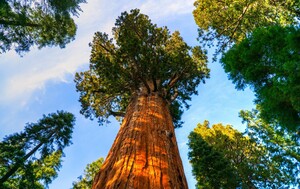 Kviz općeg znanja - 2