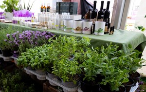 Festival samoniklog bilja - 3