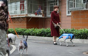 Robopsi za pomoć slabovidnim osobama u Chengduu u Kini - 3