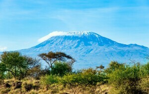 Kilimandžaro - 1
