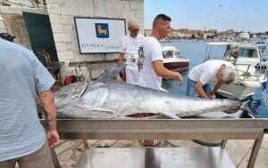 Tuna fest Rovinj - 1