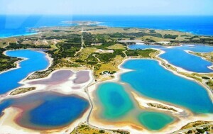 Rottnest - 5