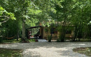 Kućica Noni za robinzonski odmor na Krku, Airbnb - 3