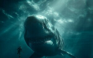 Megalodon/Ilustracija